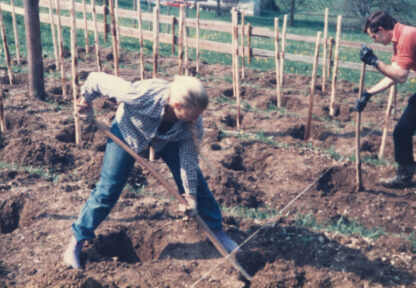 Jutta Scheyer bei der Erstanpflanzung im Mai 1986